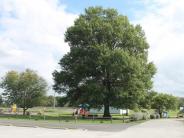 Scamahorn Park playground